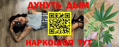 крисы Краснознаменск