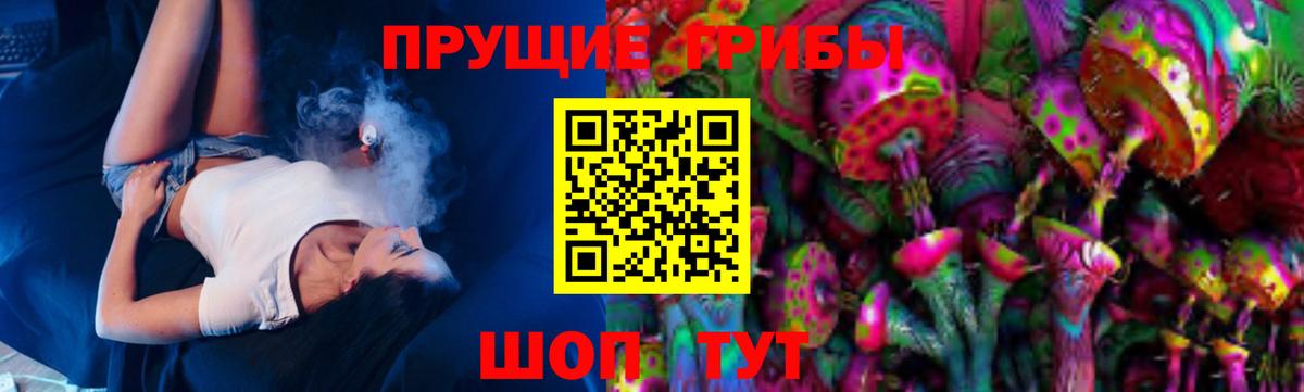 Галлюциногенные грибы Psilocybe Усолье-Сибирское